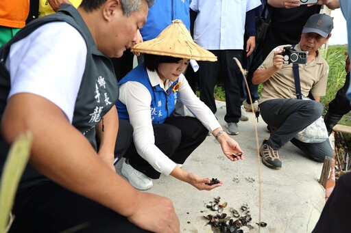 不敵連續暴雨!雲林沿海養殖文蛤幾全軍覆沒 張麗善籲中央啟動天然災害救助