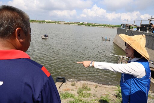 不敵連續暴雨!雲林沿海養殖文蛤幾全軍覆沒 張麗善籲中央啟動天然災害救助