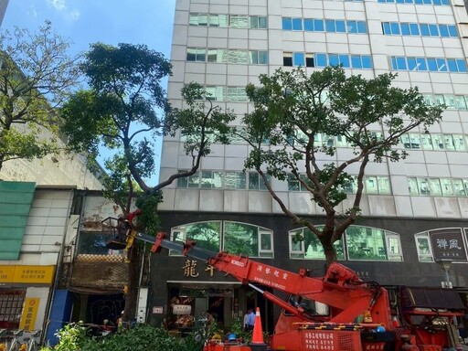北市公園處啟動防颱機制 完成楊柳颱風防災整備