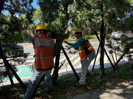 北市公園處啟動防颱機制 完成楊柳颱風防災整備
