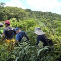 基隆消防迅速出動 成功救援迷途山友