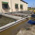 台中畜牧資源化成果卓著 強化雨污分流減輕廢水處理負荷
