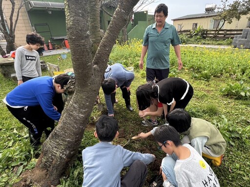 中市進化北路人行道優化並換植行道樹 建設局攜手護樹團體共創安全綠意街景