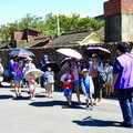 守護藍色海洋！ 中市觀旅局舉辦免費海洋環教活動 9月中將於大安熱鬧登場