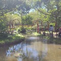 大安森林公園活水飛輪 運動健身兼顧生態教育新亮點