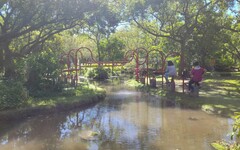 大安森林公園活水飛輪 運動健身兼顧生態教育新亮點