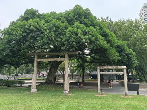 花草多感體驗 林森公園打造綠植角落