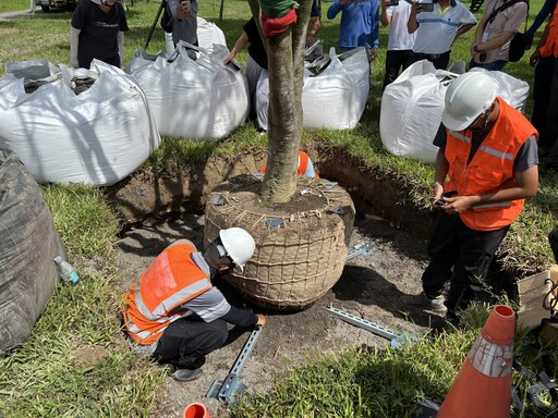 產官學力挺創新! 首次導入「空氣盆」 中央公園全樹型示範移種植觀摩獲好評