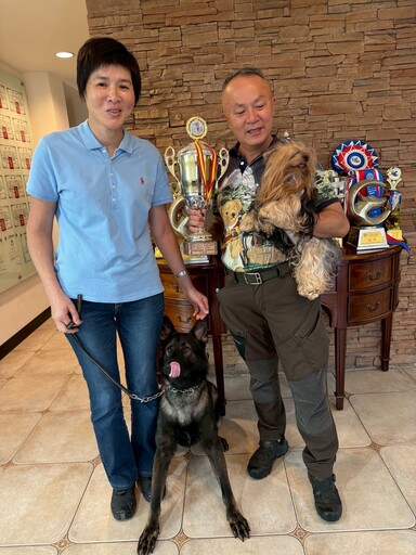 台灣出生狼犬Dino進軍世界盃 西北訓犬學苑：要做就做最好的