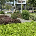 暗香湧動！北市景勤一號公園香草園 打造都市中的療癒綠洲