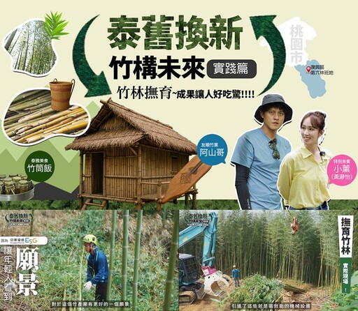 中華電信ESG「泰舊換新 竹構未來」助青年返鄉撫育竹林固碳愛地球