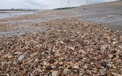 百億灌水七命喪命 三接工程成中油「錢最多」無良黑洞