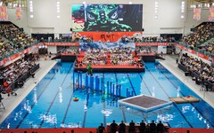 2025高雄戲獅甲 國際泳池5米高樁超炫技 明日高雄巨蛋決戰獅王寶座