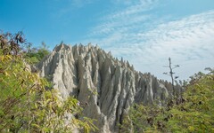 高雄海線探險趣 11/23彌陀公園登場 闖關遊戲玩翻海線