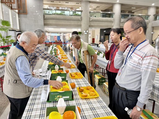 中市優質甜柿果品評鑑結果出爐 和平區陳煌明勇奪甜柿冠軍!