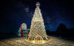 啦啦隊女神安芝儇、南珉貞將現身《下酒祭》展廚藝 《高流聖誕趴》17米聖誕樹「金勾TREE」12月5日起閃耀港灣