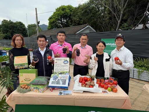 花海花毯節人氣旺、在地特產500條杏鮑菇香腸免費送 橘色波斯菊、紅色百日草、本週大爆發