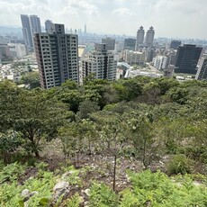 一起種下未來 大地處號召企業打造城市綠色碳倉
