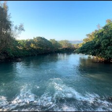 2025 五分港溪秋之⼤地藝術祭 欣賞臺北市最美河川