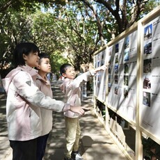 114年全國語文競賽台中隆重登場 22縣市菁英齊聚書香之都展現語文力
