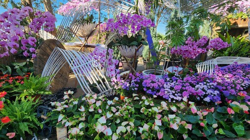 2025埔里花卉展暨南投花卉嘉年華 11/22盛大登場！