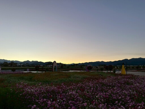 2025新社花海暨台中國際花毯節圓滿落幕 清潔隊2小時內恢復場地環境