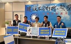 藍白合作司法改革 蔡壁如與四藍青選將共推《揭弊者保護法》