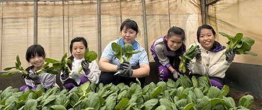種有機蔬菜回饋社會 新北青農推食農教育