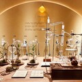 坪林茶博館「泡特展」橫跨138億年壯遊體驗