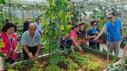 長輩種菜樂開懷 板橋首座開心農場慶豐收