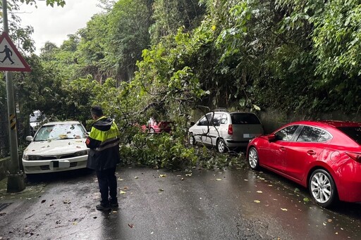 雷雨炸路樹傾倒礙通行 警速排除維行安