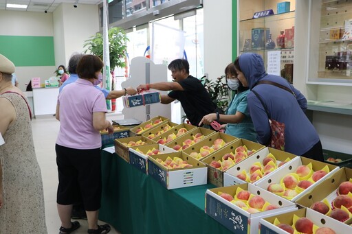 力挺原鄉果農產品直銷 新竹6郵局開賣尖石水蜜桃