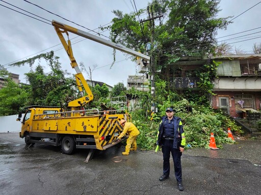 颱風外圍環流發威 路樹倒塌影響行車安全 警冒風雨即時排除