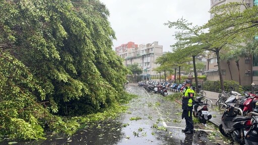 強颱凱米橫掃 樹倒勾下電線 內湖警馬拉松救災疏導