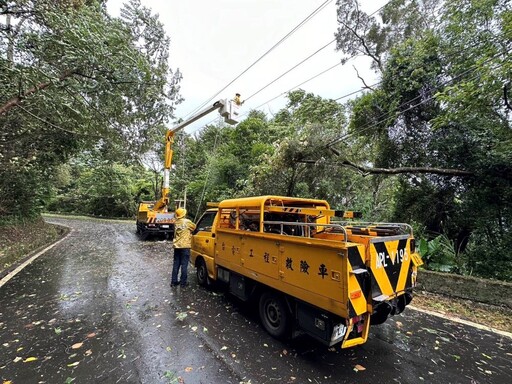 山區路樹倒塌壓倒線路搶修耗時 台電盡全力恢復供電