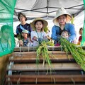 永續環境教育 新北河濱公園濕地體驗從小扎根