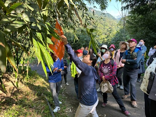 三峽客庄之美探幽 「五寮筍鄉山客行」即起報名