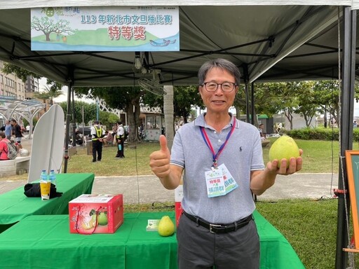 不惜成本種出新北冠軍柚 八里紅秋觀光果園五度奪冠