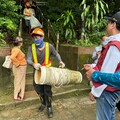 新北再增2例本土登革熱 三介廟及天山公園列管制區