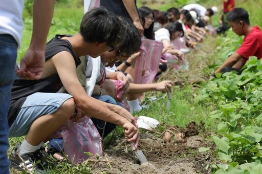 兼顧生態保育 金山漫遊農遊全國首獲國際永續認證