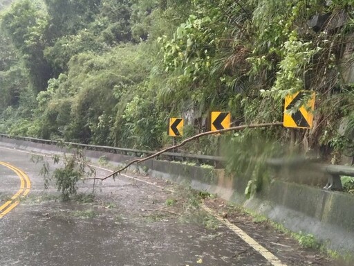 康芮來襲路樹倒塌 基三警迅速頂風雨清理助通