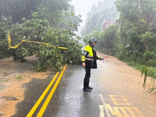 康芮颱風外圍環流發威 路樹倒塌影響行車安全 警冒風雨即時排除