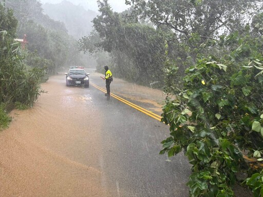 康芮颱風外圍環流發威 路樹倒塌影響行車安全 警冒風雨即時排除