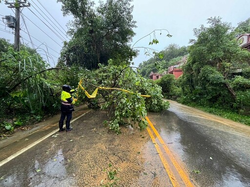 康芮颱風外圍環流發威 路樹倒塌影響行車安全 警冒風雨即時排除