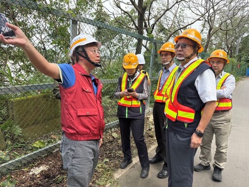 樹倒蜂窩擱來亂 台電北西區處力拚三峽山區復電