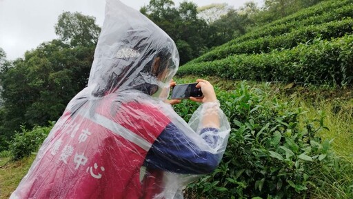 勘查坪林康芮農損 侯：爭取中央公告救助