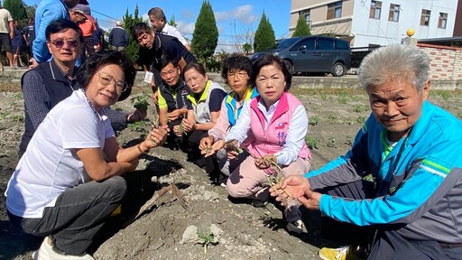 台中馬鈴薯受「康芮」重創 楊瓊瓔爭取現金救助