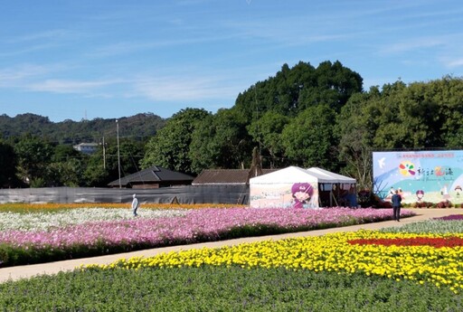 2024台中國際花毯節「太空花境」繁花綻放 必看花海美景