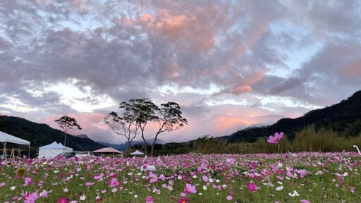 秘境湖畔盛開奇蹟 2024石秀灣花彩節熱鬧登場