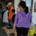 舉辦3場免費貓犬絕育 中市甲安埔愛鄉青年協會受肯定